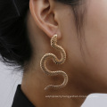 Personality twisted geometric hip-hop earrings, exaggerated snake-shaped fashion embossed long earrings